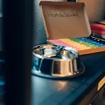 Hundefreundliches H1 008 * シュパルト